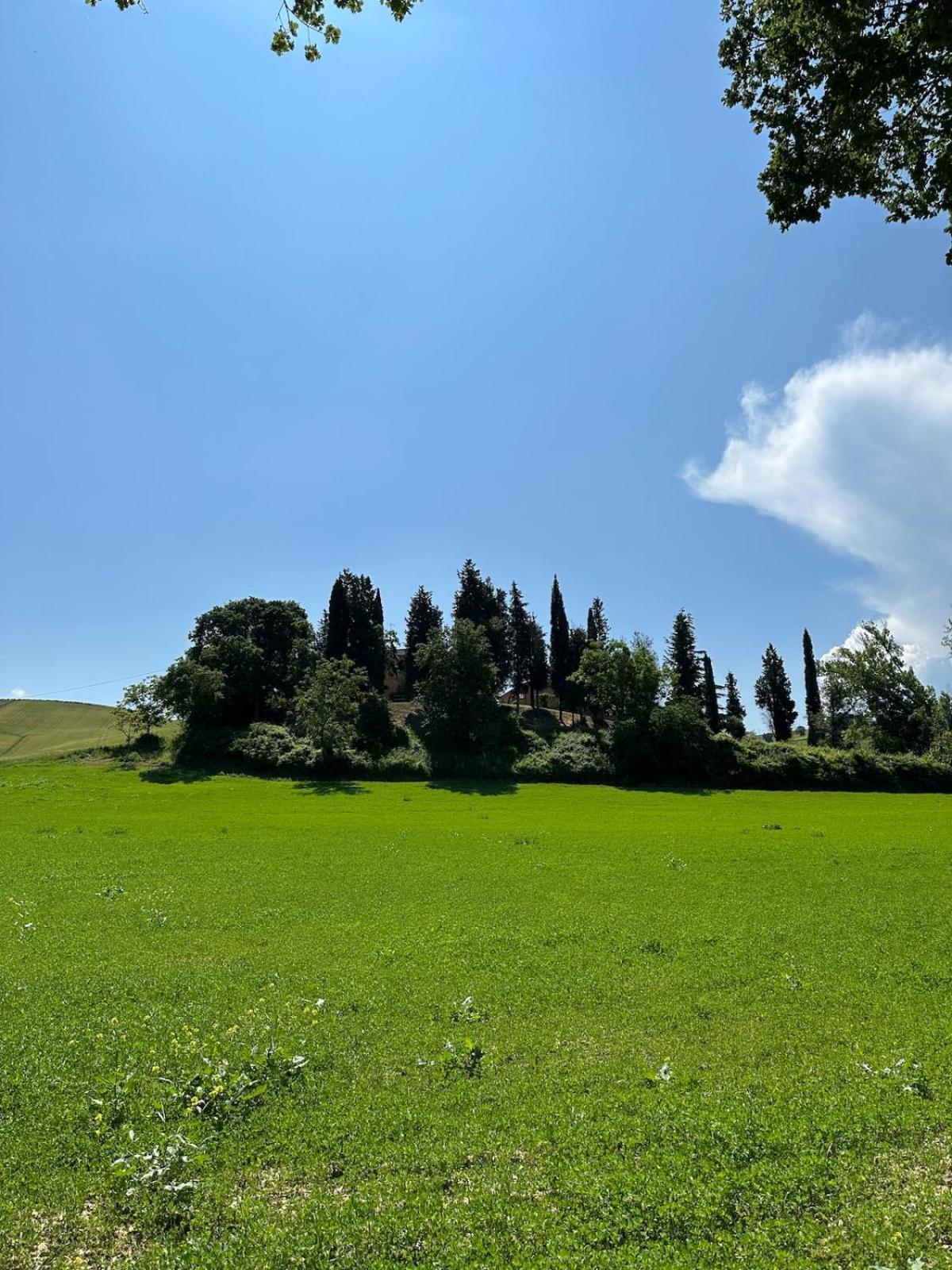 Villa Il Giardinello Montalcino Extérieur photo