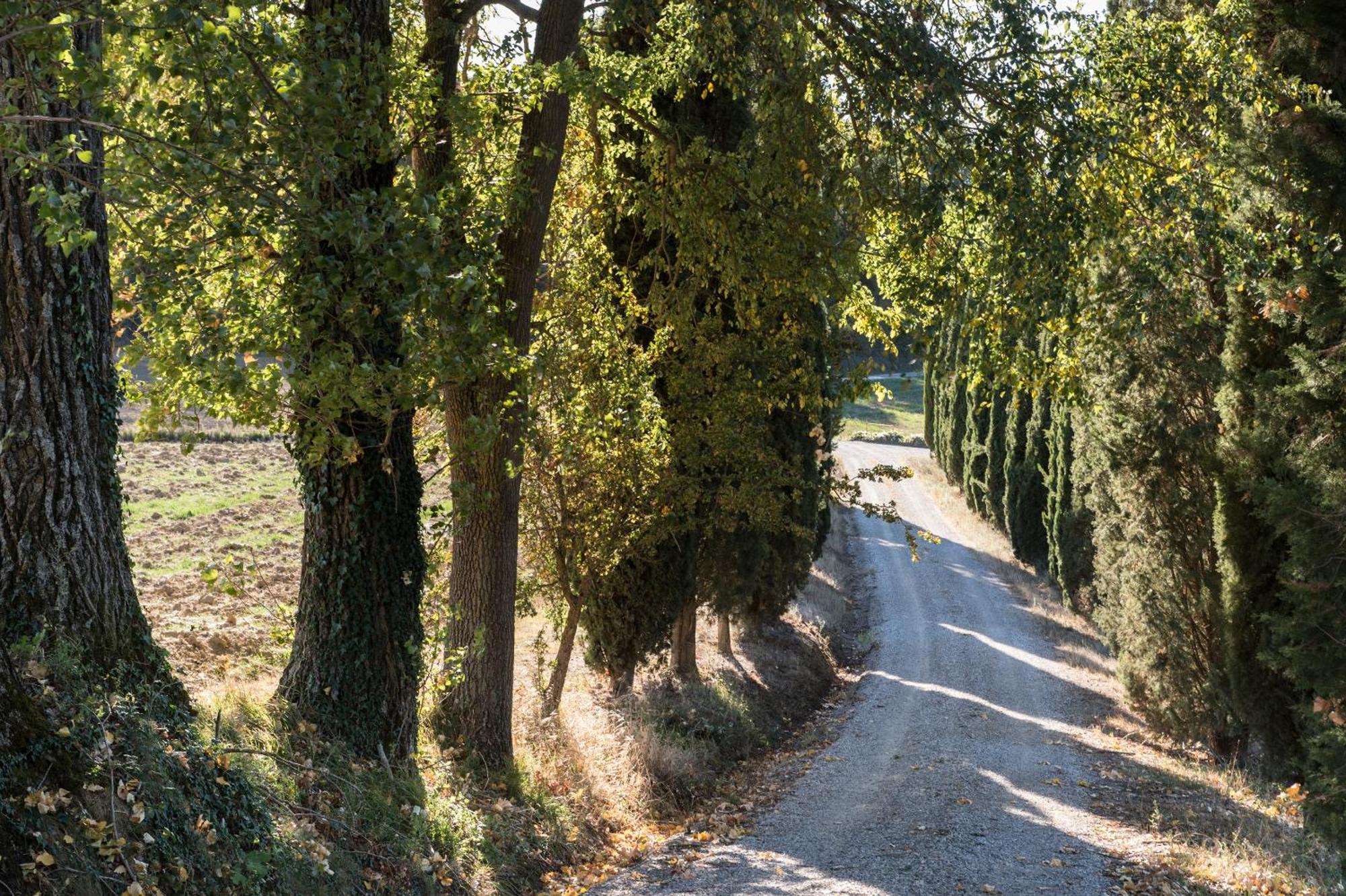 Villa Il Giardinello Montalcino Extérieur photo